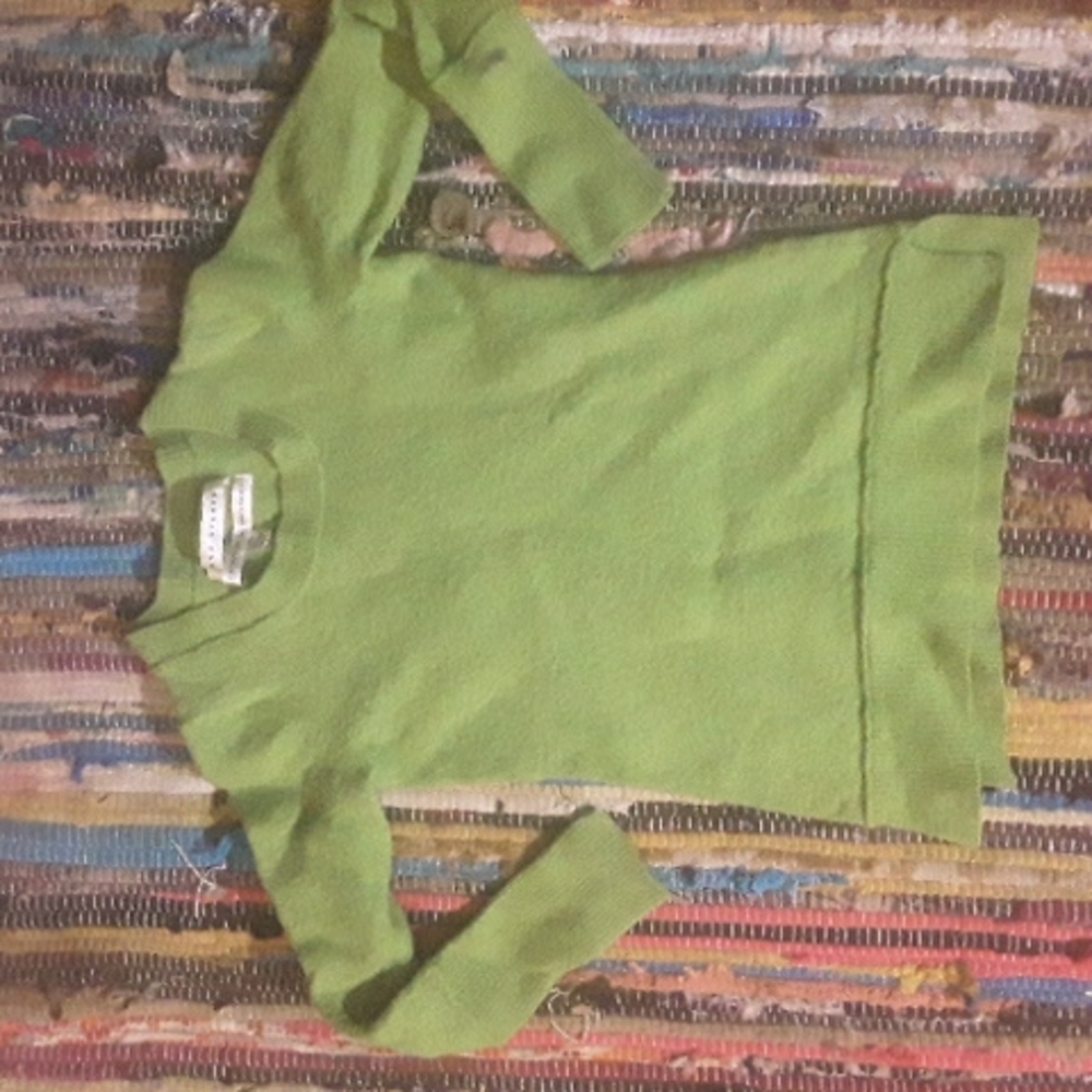 Max Studio Merino wool green crew neck sweater size XS Youth